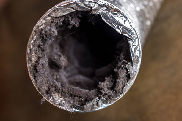 HVAC System Cleaning in Elberta, AL