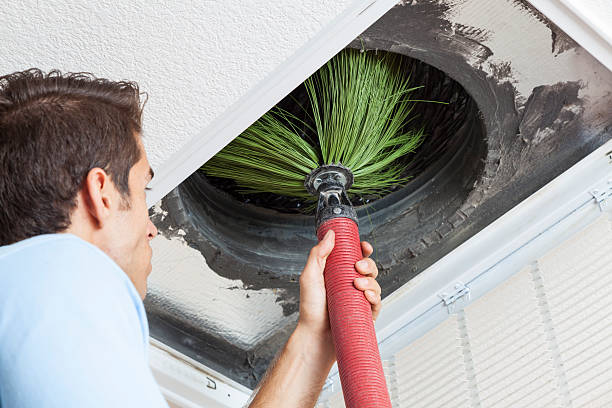 Best Professional Duct Cleaning Services  in Elberta, AL